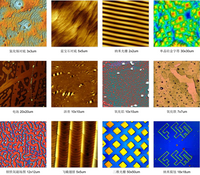 Microscópio atômico da indústria de bolachas de 12 pol. AFM 12